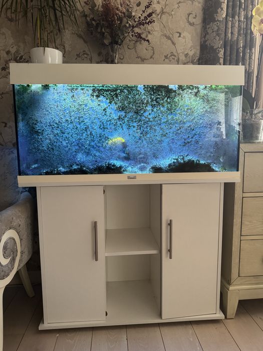 Продам аквариум со всем комплектом