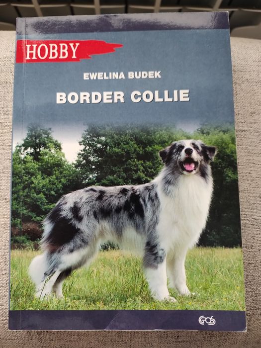BORDER Collie poradnik