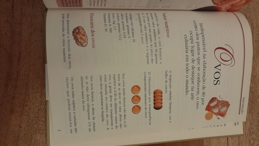 ABC da Cozinha - Tudo sobre ovos