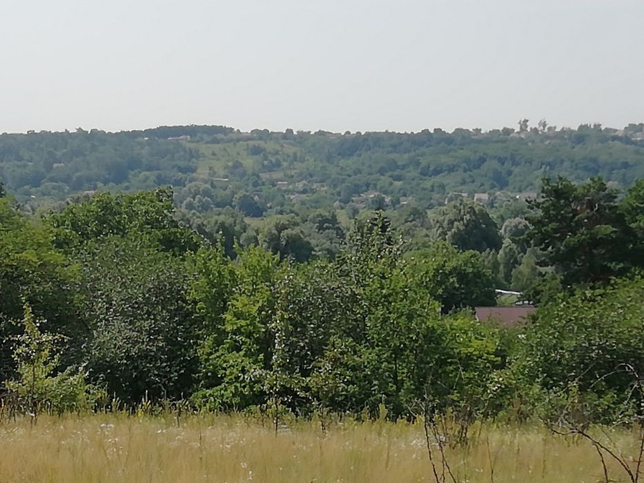 Продам земельну ділянку Здорівка Васильківський район. - Вид 2