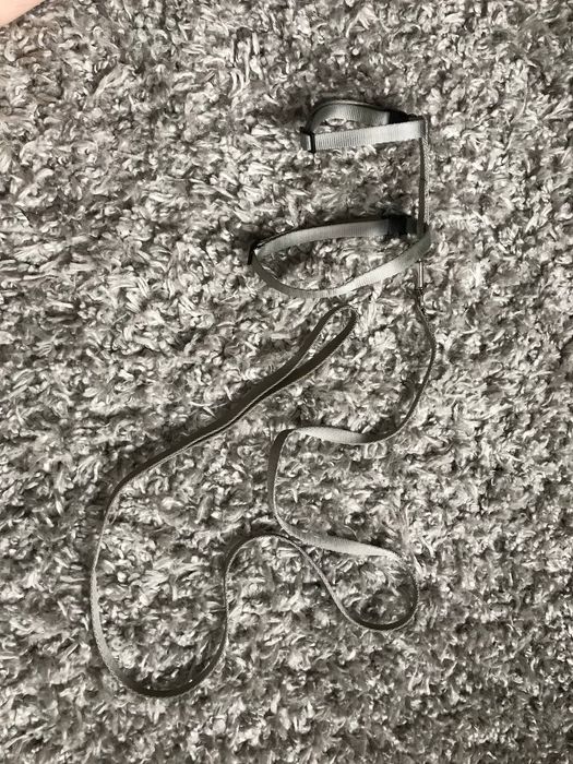 Повідок для кота