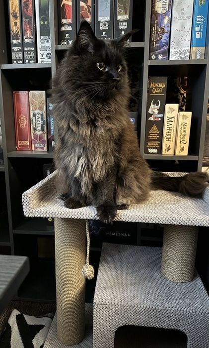 Когтеточка с лежанкой для кота