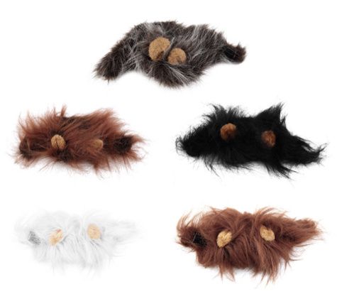 Juba de leão para gatos!