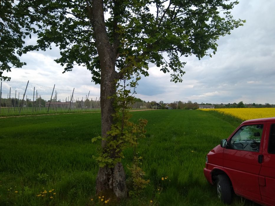Działki budowlane Ziółków przy drodze asfaltowej - Widok 2