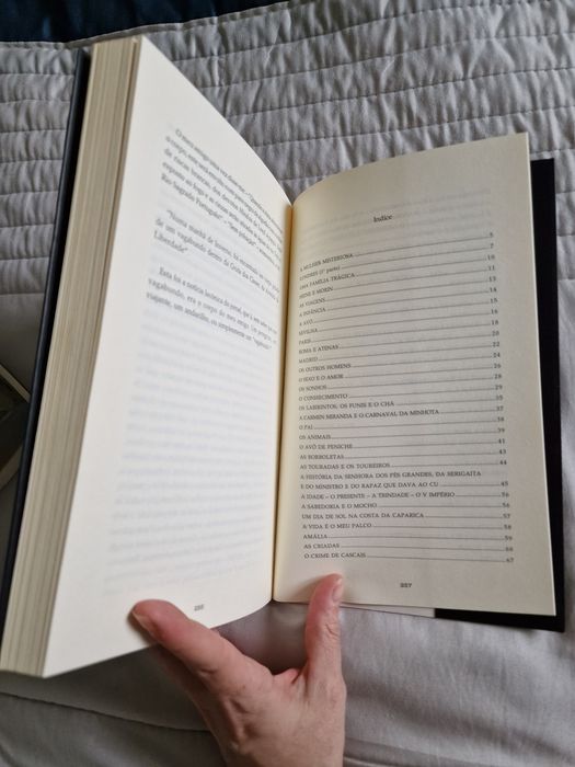 A Gruta dos Cisnes de João D'Ávila Editora Hugin