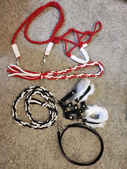 Zestaw dla hobby horse kantar, halter, cordeo, wodze 2x, uwiąz