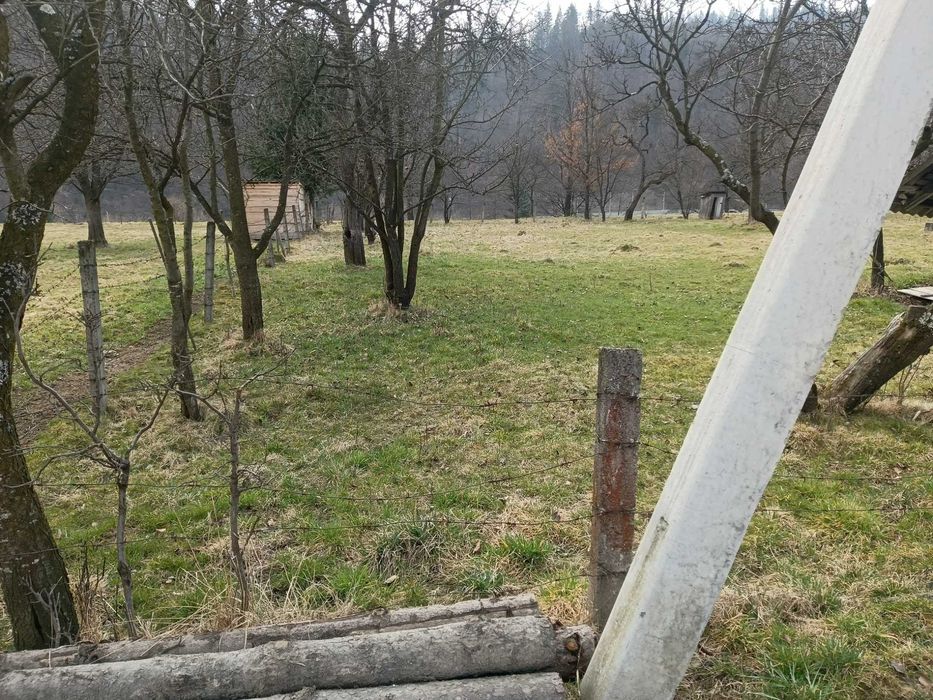 Земельна ділянка