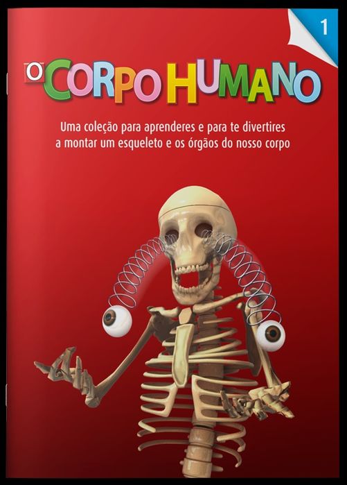 Réplica de Esqueleto Humano