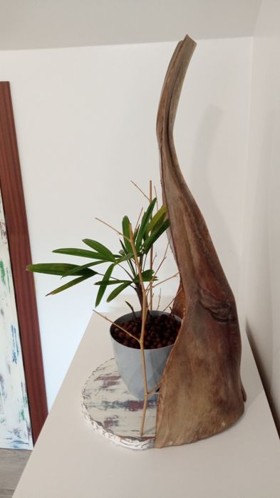 Arranjo folha coqueiro