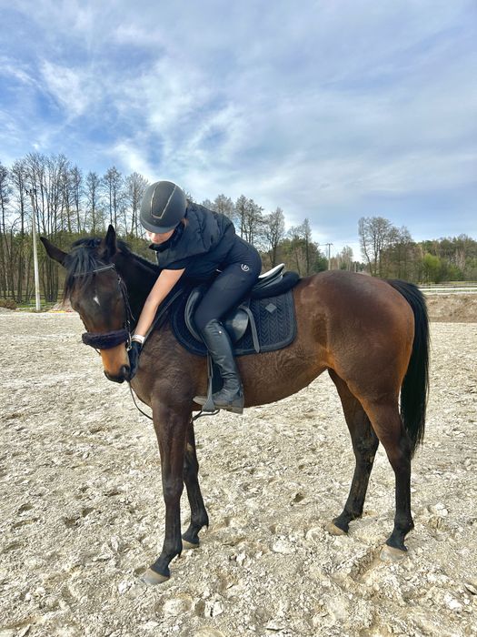 Przepiękna klacz zdrowa przyjacielska