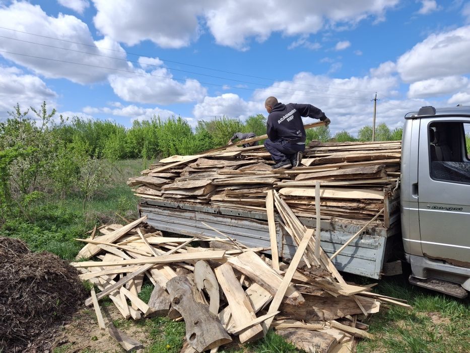 Дрова(обзел) сосна,тополь