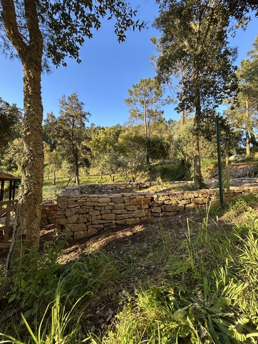 Muros em pedra e jardinagem