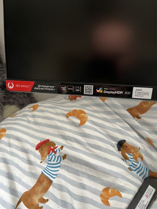 Monitor gamingowy