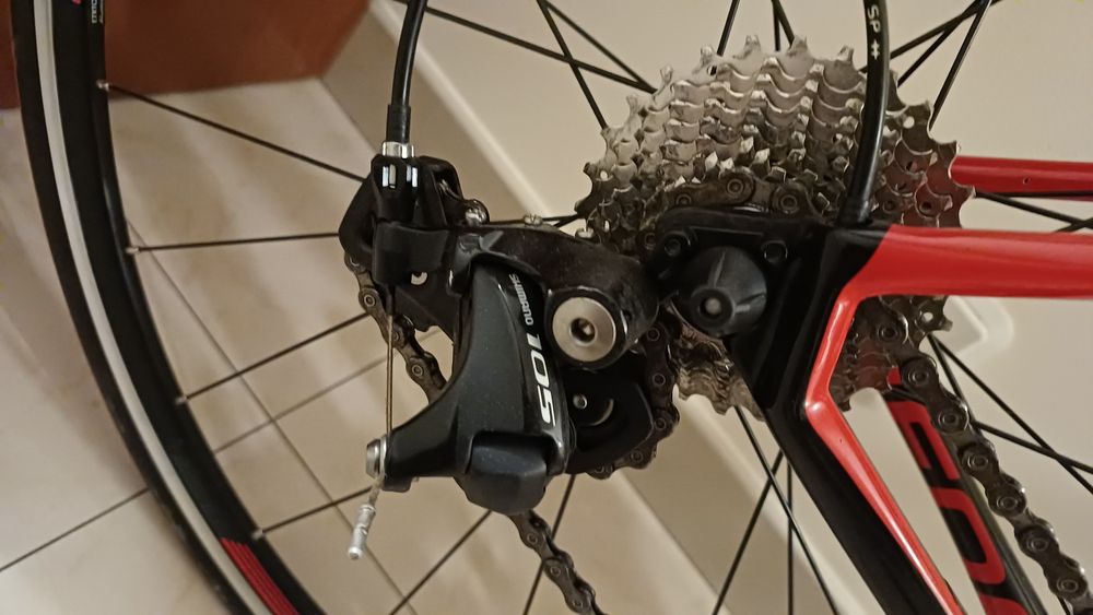 Focus cayo como nova