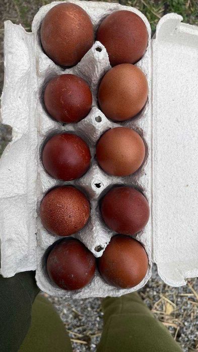 Жалғыз милф порно