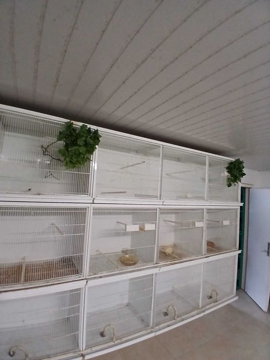 Gaiolas de criação