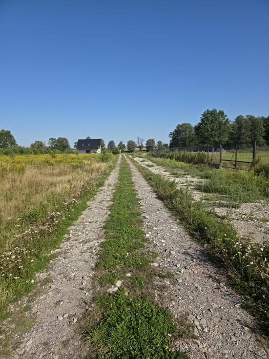 Działka budowlana 1479 m² z WZ – Niecieplin k. Garwolina - Widok 3