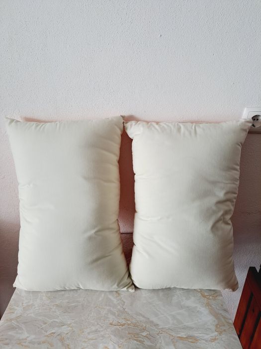 2 almofadas decorativas
