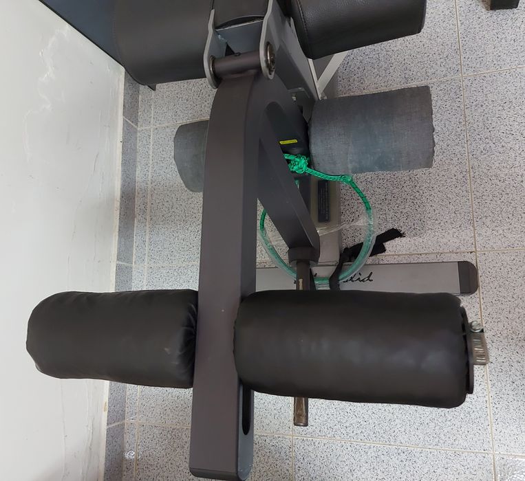 Cadeira de extensão e flexão