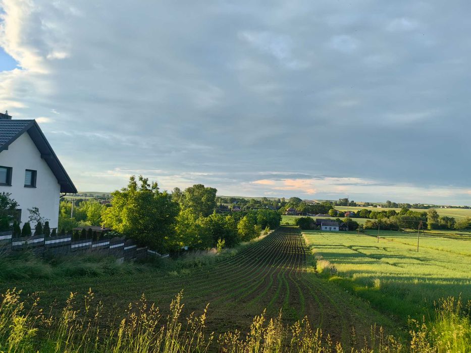 Działka 60 arów przy Słomnikach ul. Bema, media,asfalt,11 ar budowlana