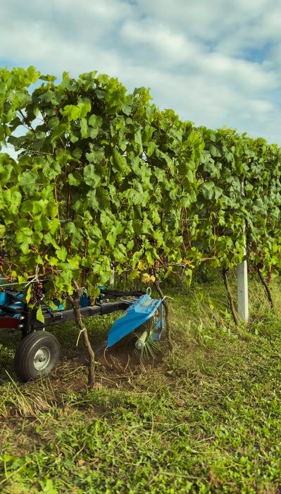 Wykaszarka Podkaszarka Podkoronowa- ŻYŁKOWA - Hydrauliczna - do Winnic, Sadów  - OKAZJA