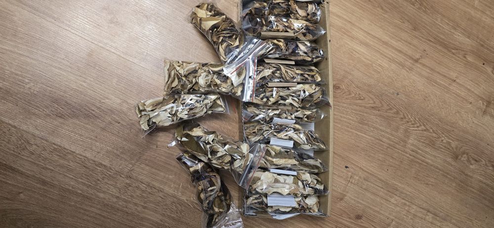 Grzyby 10 op. po 20g jak na foto