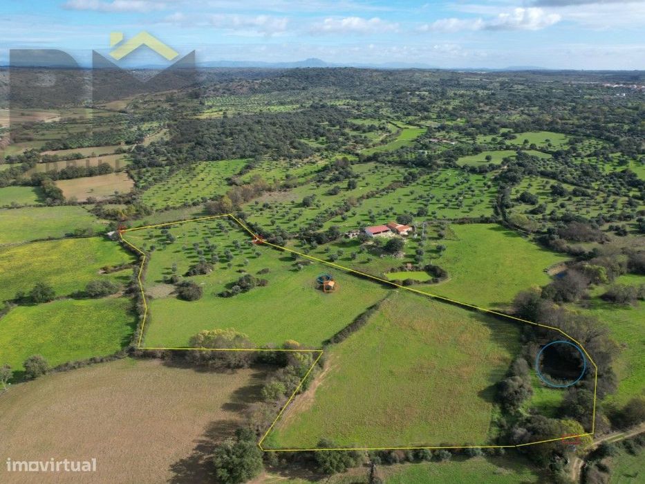 Quinta com 3ha em Oledo, Idanha-a-Nova