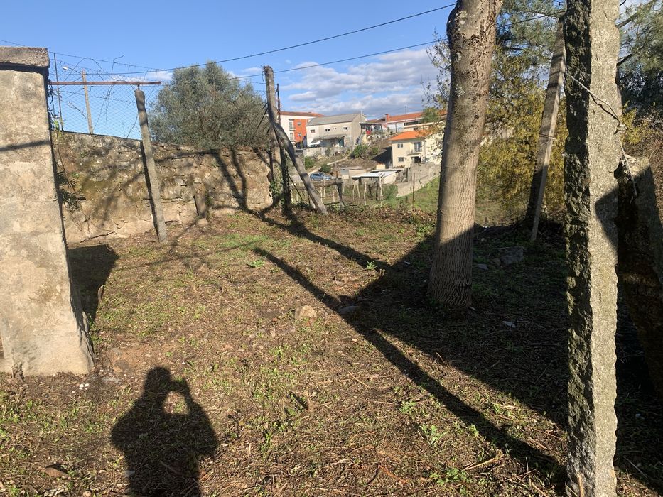 Terreno com casa 650m2