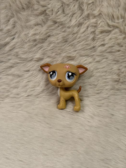 Figurka PIES CHART #498 Littlest Pet Shop LPS Hasbro