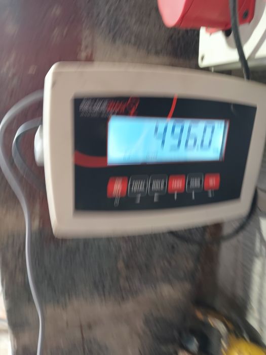 Pszenica paszowa  sprzedam worki lub bigach