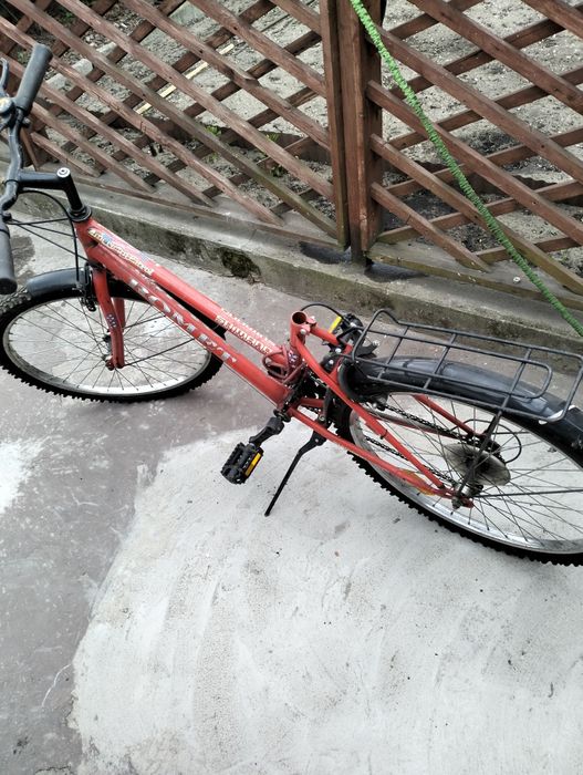 Rower dziecięcy damski 24