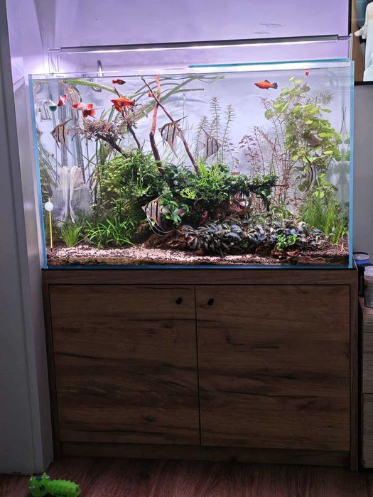 Zestaw akwariowy; akwarium FULL OPTIWHITE 80/45/50+szafka+lampa+filtr