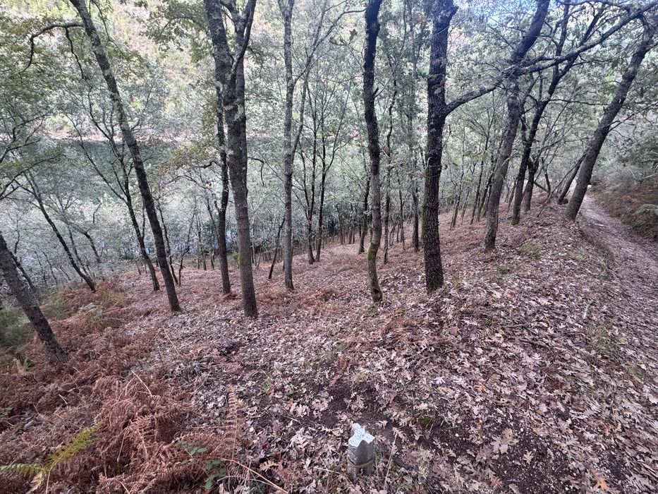 Terreno junto a Barragem de Albufeira da Caniçada, Louredo