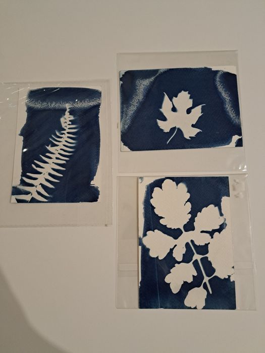 Cianotipia várias dimensões/formatos arte casamentos decoração postais