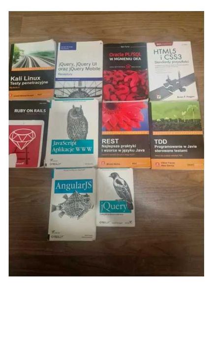 Książki IT PROGRAMOWANIE Java JavaScript HTML CSS AngularJS jQuery Ruby on Rails REST TDD Oracle PL/SQL Kali Linux