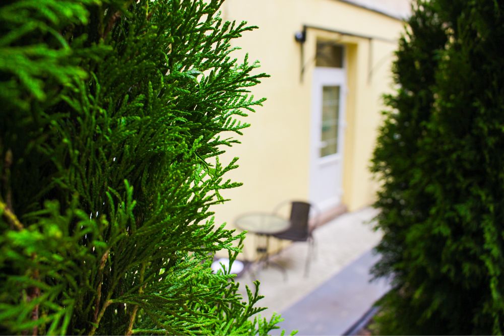 подобово ЦЕНТР , кватира з власном двориком