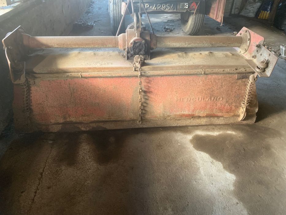 Fresa Herculano 1.80m