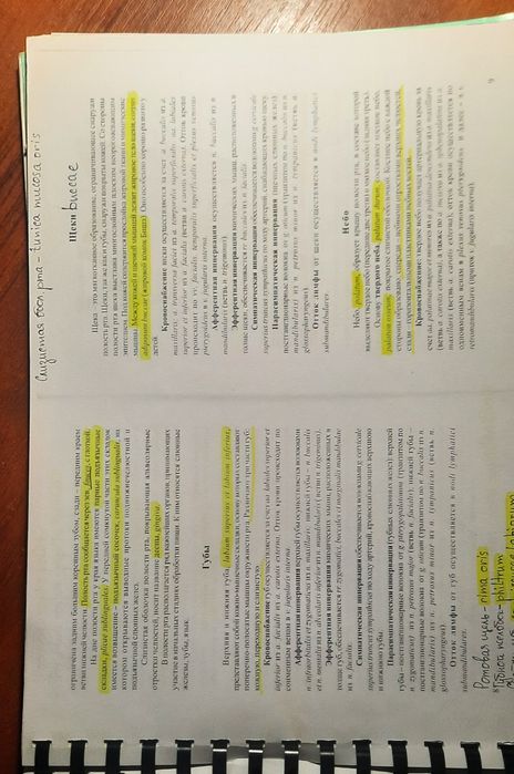 Атласи анатомії: м'язевої системи та шкт