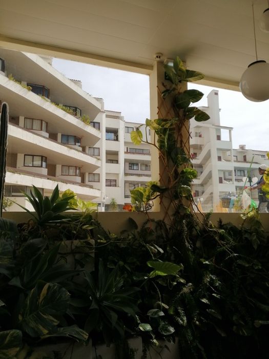 Albufeira, T1, piscina