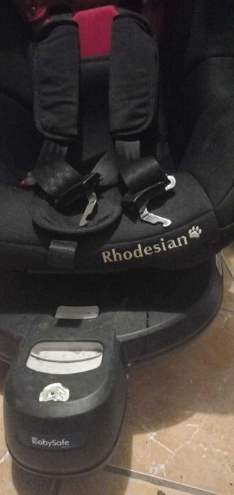 Okazja  Używany Fotelik Dziecięcy  Samochodowy Babysafe Rhodesian