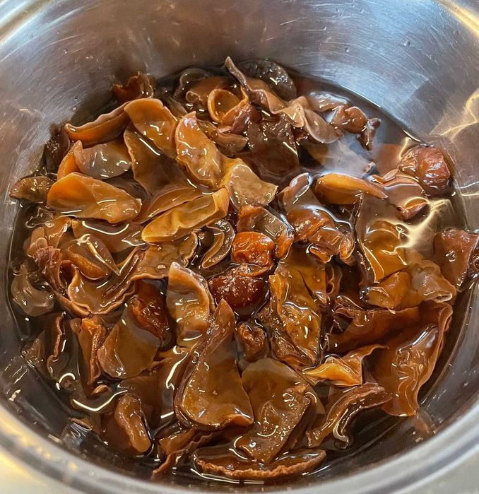 Uszak bzowy  polskie grzyby mun (Auricularia auricula-judae)