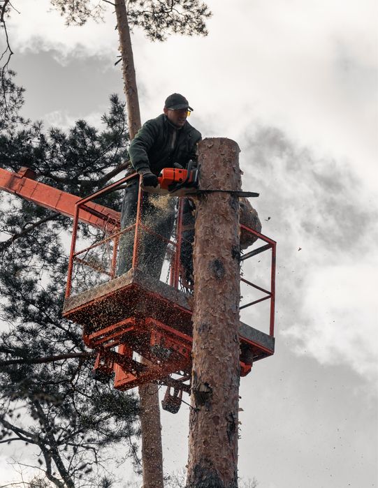 Видалення дерев,Спил,Кронування,Зрізання,Удаление деревьев,благоустрій