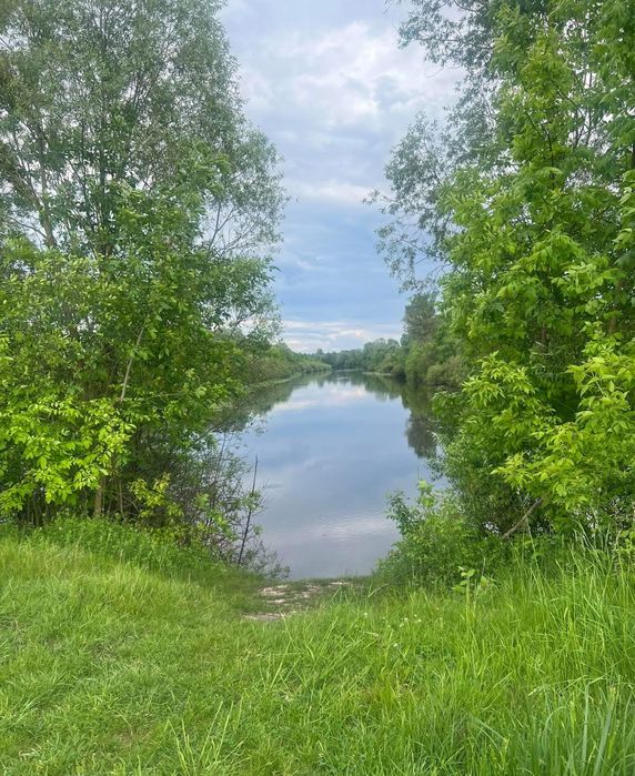 Продам земельну ділянку біля річки Снов