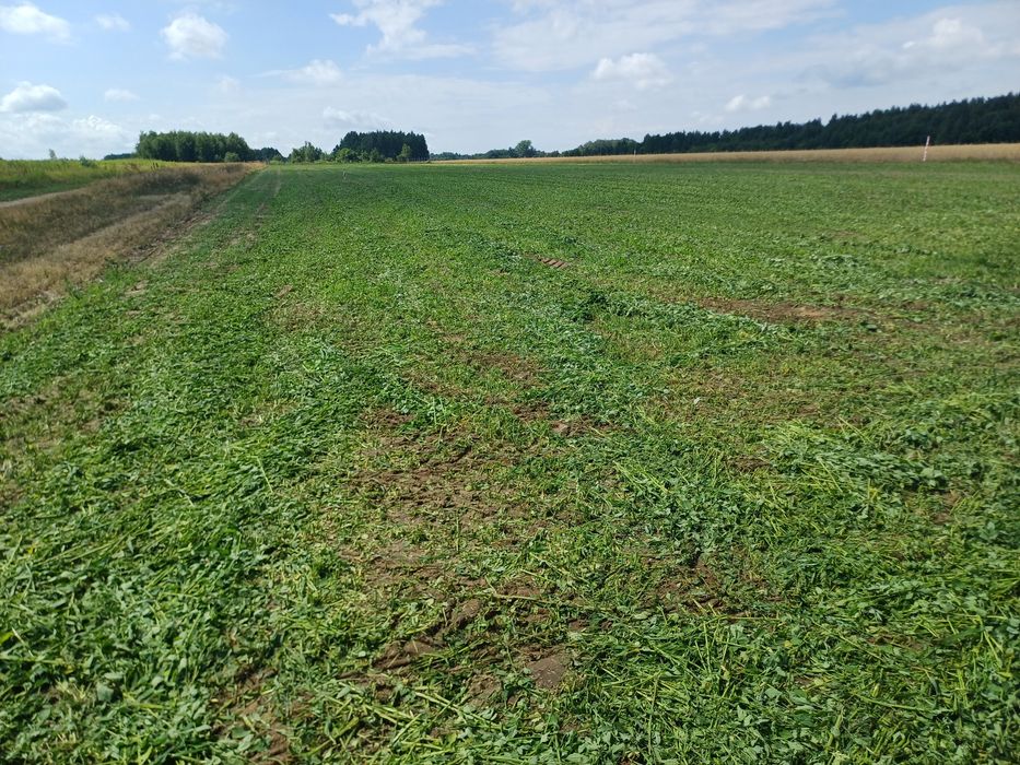 Sprzedam działki budowlane z warunkami zabudowy