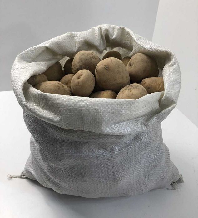 Przepyszne Ziemniaki Denar 20 Kg Warmia BIO Ekologiczne