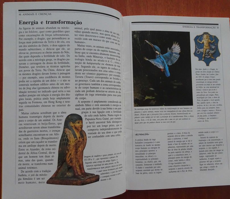 Os Espíritos Animais (Sacrifício, Ritual e Mito de Diversas Culturas e Épocas)