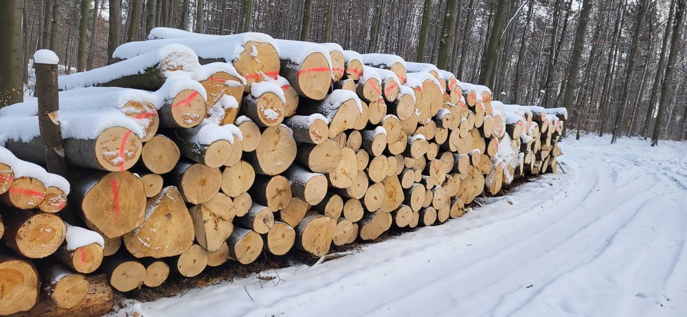 Drewno opałowe/kominkowe