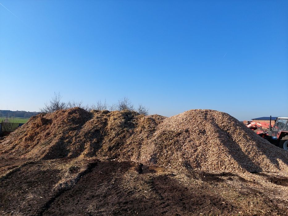 Skup zrębki trociny odpadów drzewnych