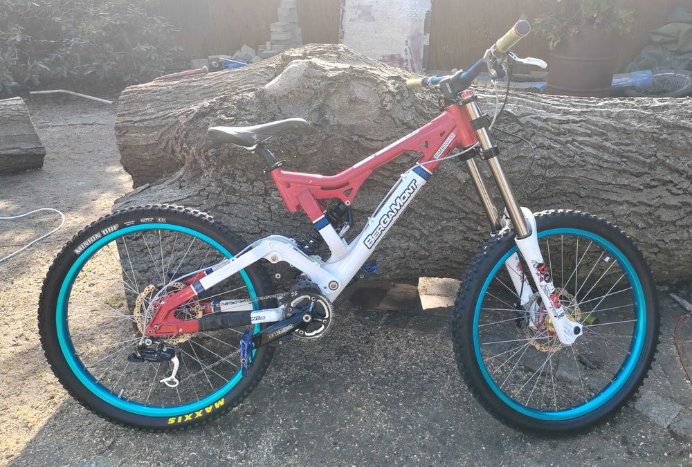 Bergamont Evolve Team DH