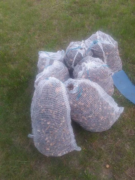 gałezie drzew owocowych i troche zebki